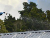 A,Maintenance,Worker,Sprays,Mould,Killer,To,Control,Lichen,Growing